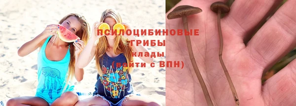 СК Карпинск