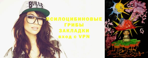 ПСИЛОЦИБИНОВЫЕ ГРИБЫ Каменка