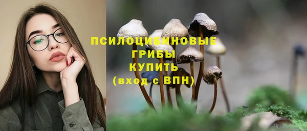 СК Касимов