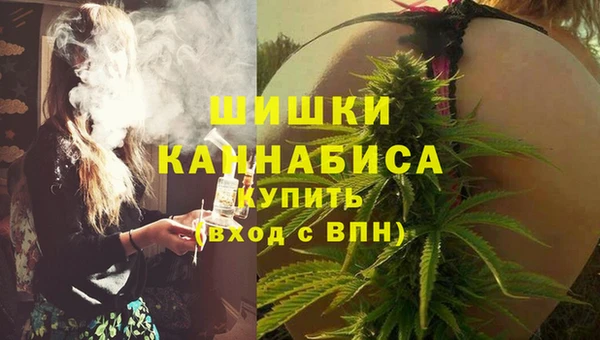 СК Касимов