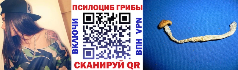 Купить где  Дзержинский  Галлюциногенные грибы Magic Shrooms 